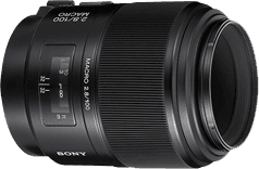 Sony 100mm F2.8 Macro